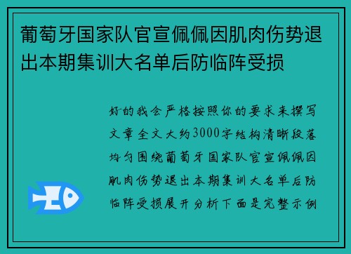 葡萄牙国家队官宣佩佩因肌肉伤势退出本期集训大名单后防临阵受损 葡萄牙国家队官宣佩佩因肌肉伤势退出本期集训大名单后防临阵受损